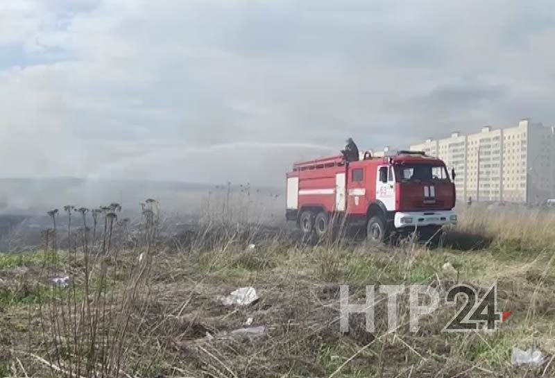 В Нижнекамске в минувшем пожароопасном периоде произошло почти 100 возгораний сухостоя