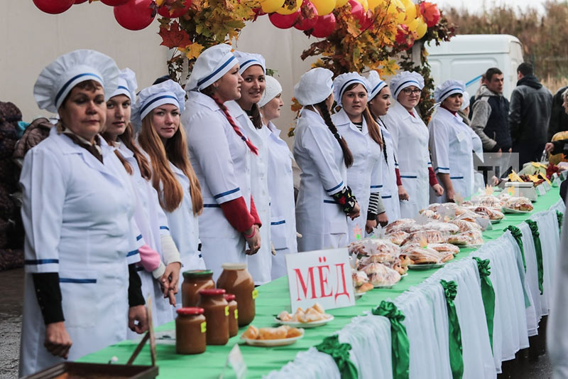 Организации образования Татарстана представили сельхозпродукцию на ярмарке в Казани