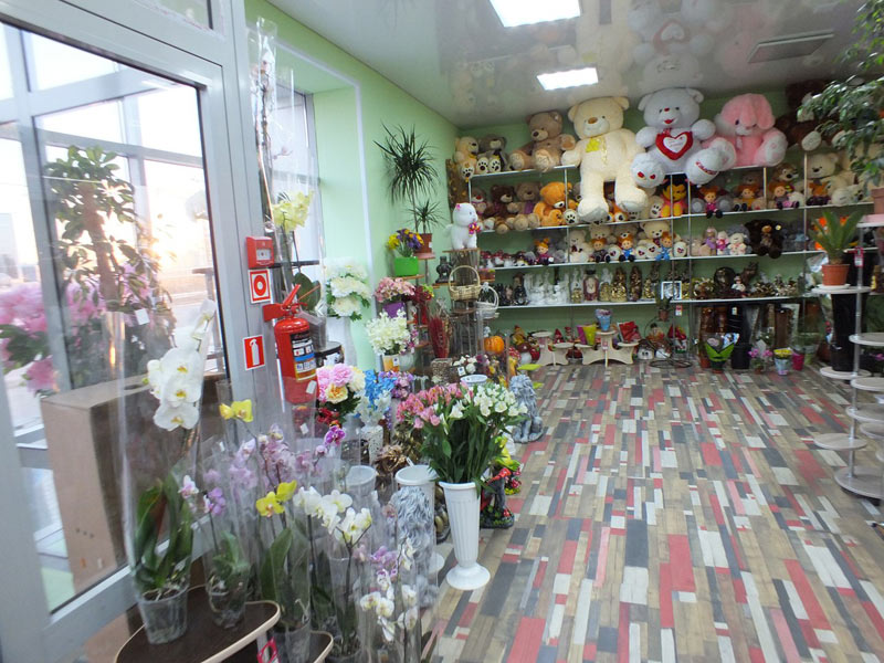 Где Купить Цветы В Нижнекамске Адреса