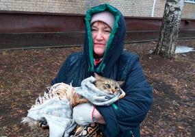 В Нижнекамске по указанию мэра спасли кошку, которая сутки просидела на дереве