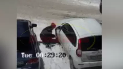 В Нижнекамске двое парней за 1,5 минуты оставили чужую машину без колпаков