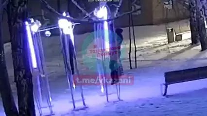 Житель Елабуги украл новогодний шар из городского парка и попал на видео