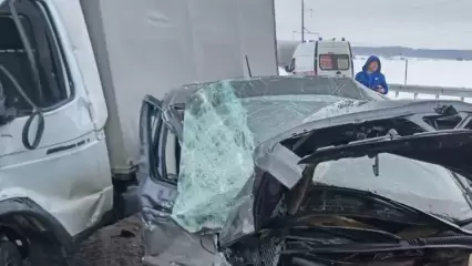 От иномарки осталась груда металла в результате столкновения с грузовиком на трассе в Татарстане
