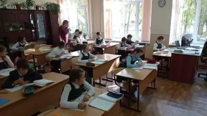 В Татарстане ученики 2-3 классов будут вести электронные экодневники