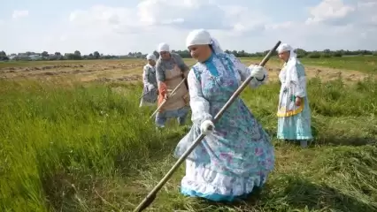 В селе Каенлы Нижнекамского района устроили сенокос в старинных традициях