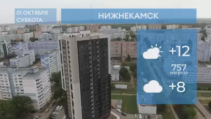 Прогноз погоды в Нижнекамске на 1-е октября 2022 года