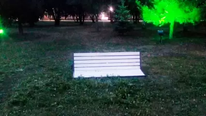 В Нижнекамске выдрали скамейку и разбили табличку «Сада памяти»