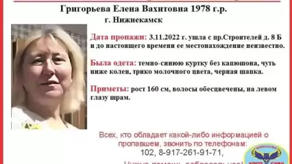В Нижнекамске разыскивается пропавшая месяц назад 44-летняя женщина