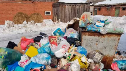 В России с помощью фотоловушек начнут штрафовать любителей выкинуть мусор из авто