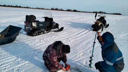 В Татарстане начались мероприятия по предотвращению замора рыбы