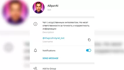Глава минцифры Татарстана представил свой телеграм-бот на базе ChatGPT