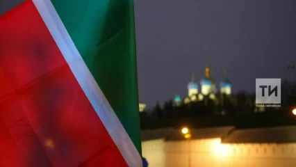 В Татарстане пройдут дополнительные выборы в Госсовет