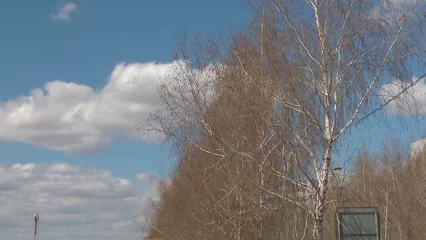 Жителей Татарстана просят соблюдать осторожность из-за сильного ветра