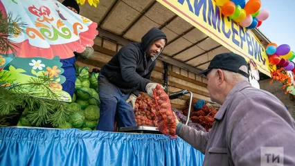 В субботу в Татарстане возобновляют работу сельхозярмарки