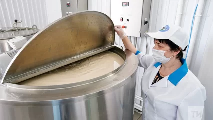 Татарстан занимает первое место в России по производству молока