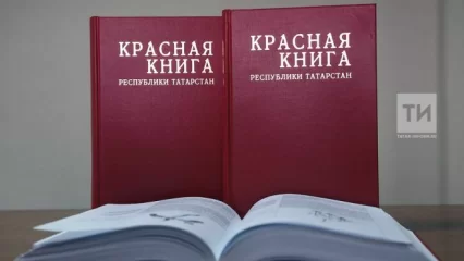 Красную книгу Татарстана переиздадут в 2025 году
