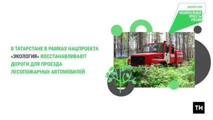 В Татарстане возводят дороги для лесопожарных машин