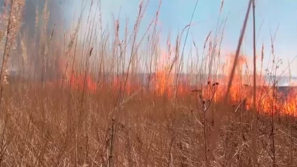 В Татарстане вновь продлено штормовое предупреждение о пожарной опасности лесов