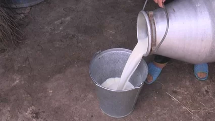 Татарстан занял второе место в ПФО по темпу роста надоя молока