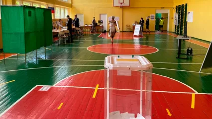 В Нижнекамске пройдут допвыборы в горсовет