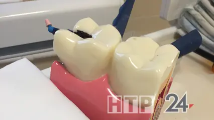 Стало известно, как будут работать стоматологии Нижнекамска в майские праздники