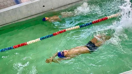 Нижнекамские дошколята стали участниками турнира по плаванию