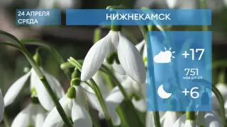 Прогноз погоды в Нижнекамске на 24-е апреля 2024 года
