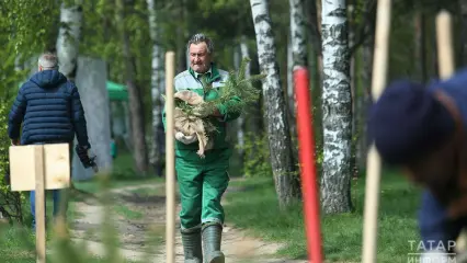 В Татарстане участники акции «Сад памяти» высадили 1,5 млн деревьев