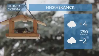 Прогноз погоды в Нижнекамске на 30-е марта 2024 года