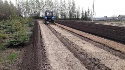 В Татарстане наполовину выполнили годовой план по посеву семян в питомниках