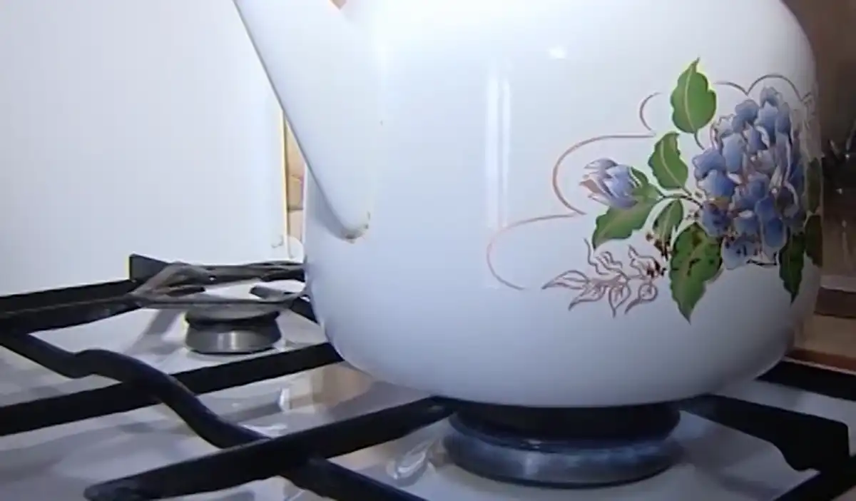 Татарстан Росреестры бакча йортларына газ кертү тәртибен аңлатты - телеканал НТР 24