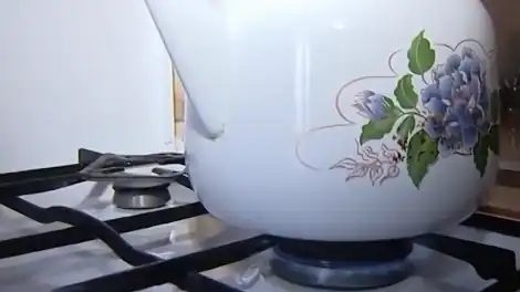 Татарстан Росреестры бакча йортларына газ кертү тәртибен аңлатты