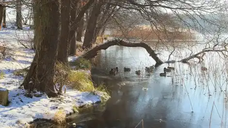 Алдан сагаю зарур - телеканал НТР 24