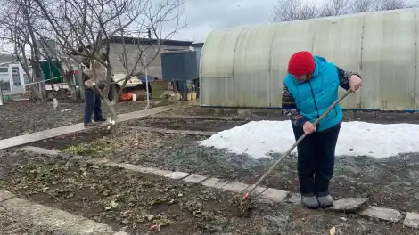 Штрафсыз бакча сезоны: гадәттән тыш хәлләр министрлыгы участокларны чистарту кагыйдәләрен искәртә - телеканал НТР 24