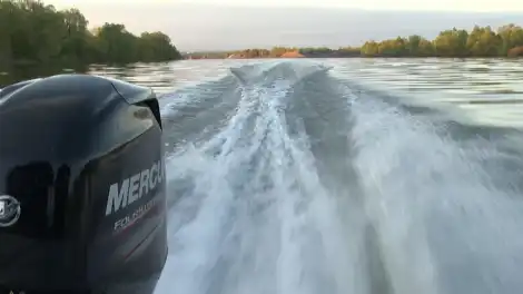 Татарстанда «Уылдык чәчү» операциясе башлана - телеканал НТР 24