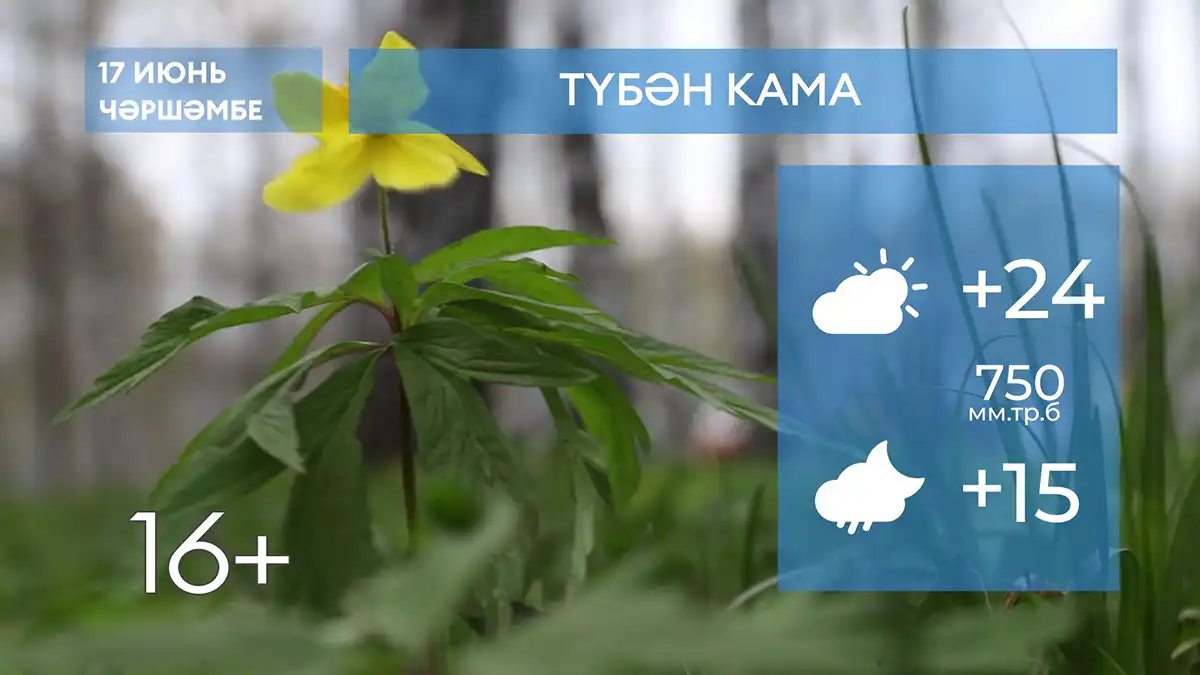 2026 елның 17нче июненә һава торышы