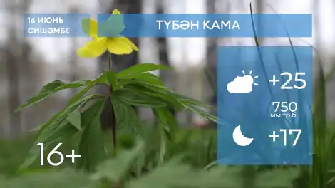2026 елның 16нче июненә һава торышы - телеканал НТР 24