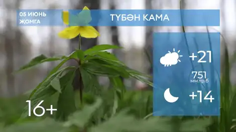 2026 елның 5нче июненә һава торышы
