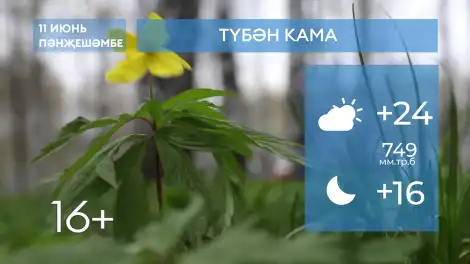 2026 елның 11нче июненә һава торышы - телеканал НТР 24