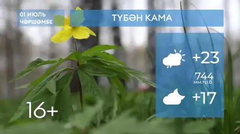 2026 елның 1нче июленә һава торышы