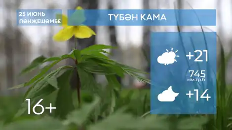 2026 елның 25нче июненә һава торышы - телеканал НТР 24
