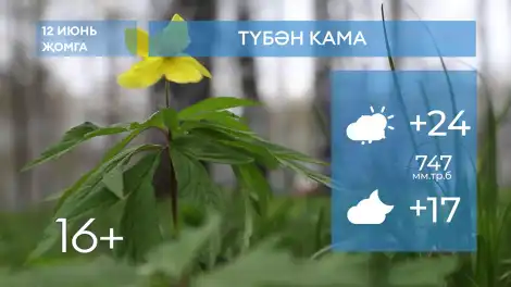 2026 елның 12нче июненә һава торышы - телеканал НТР 24