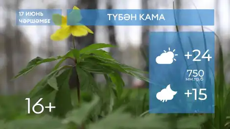 2026 елның 17нче июненә һава торышы - телеканал НТР 24
