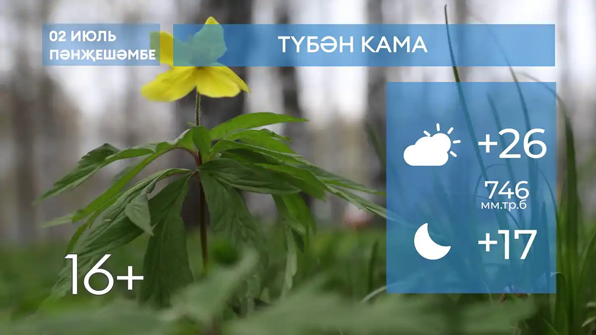 2026 елның 2нче июленә һава торышы