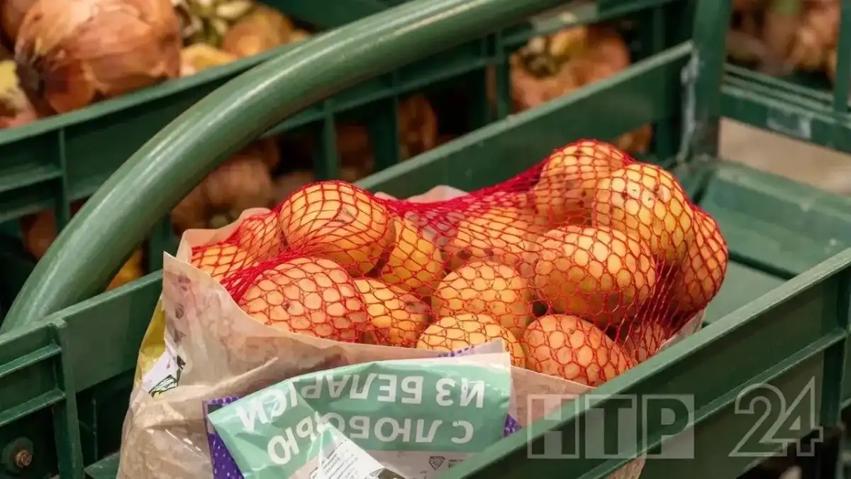 Овощи на прилавке в магазине.