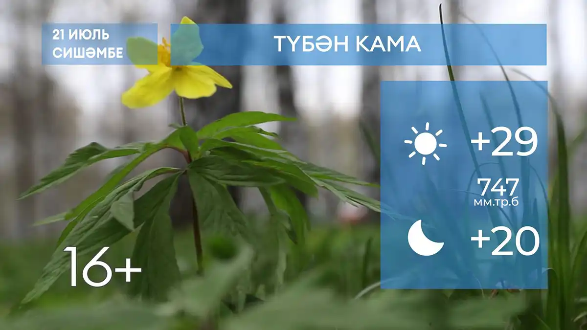 2026 елның 21нче июленә һава торышы