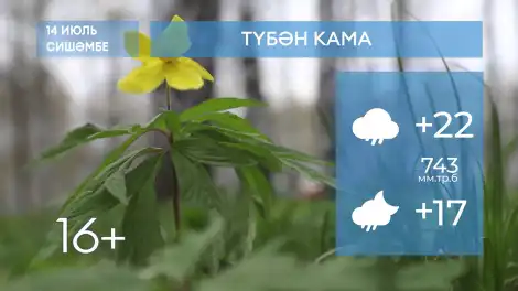 2026 елның 14нче июленә һава торышы - телеканал НТР 24