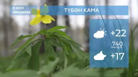 2026 елның 15нче июленә һава торышы - телеканал НТР 24