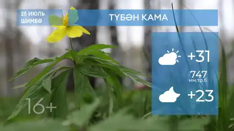 2026 елның 25нче июленә һава торышы - телеканал НТР 24