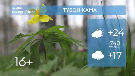 2026 елның 16нчы июленә һава торышы - телеканал НТР 24